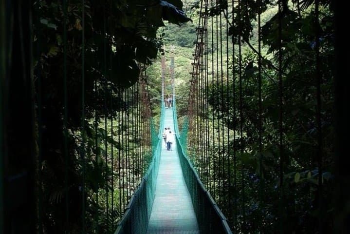 Hanging Bridges