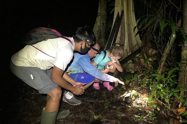 Night walk and wildlife spotting