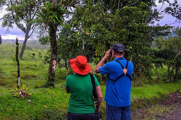 Birdwatching Walk from La Fortuna