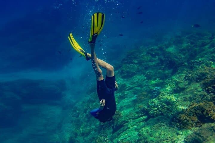 One Day Tour To Caño Island From Drake Bay
