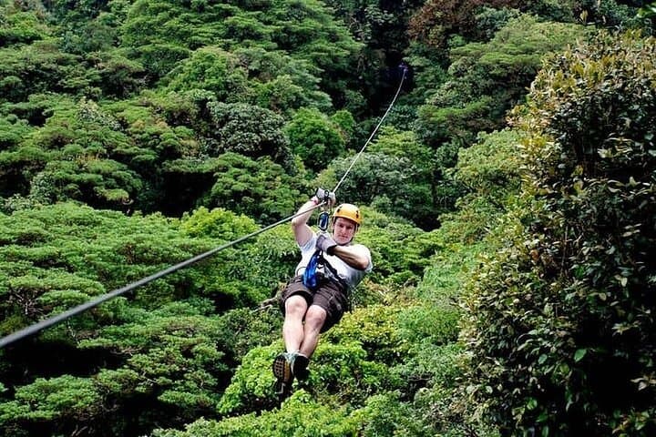 3-in-1 Monteverde Cloud Forest Hanging Bridges, Ziplining and Butterfly Garden