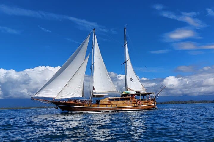 All sails set