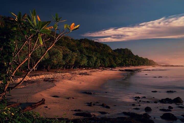 Private Transfer From San Jose Airport To Santa Teresa Beach