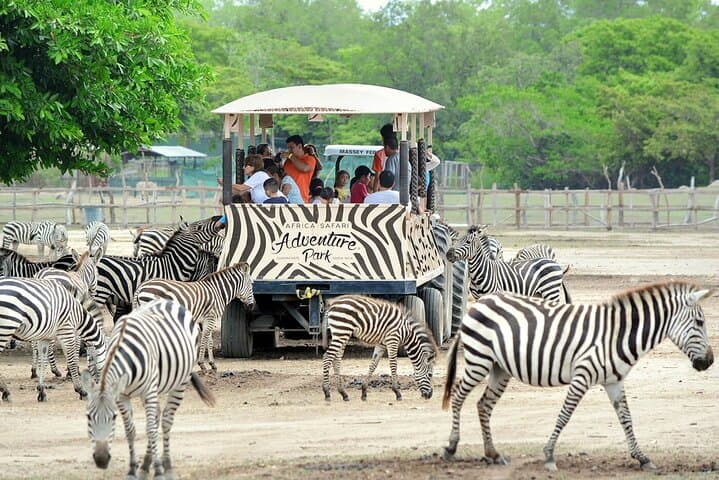 Day pass to Ponderosa Adventure Park