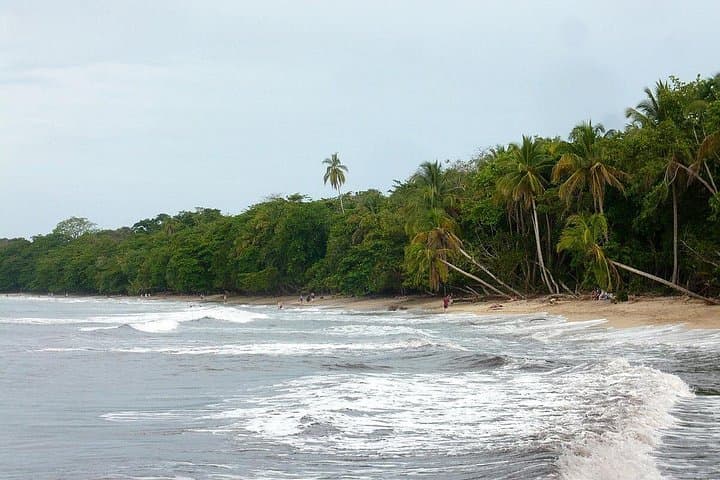 Private Transfer From San Jose Airport To Cahuita