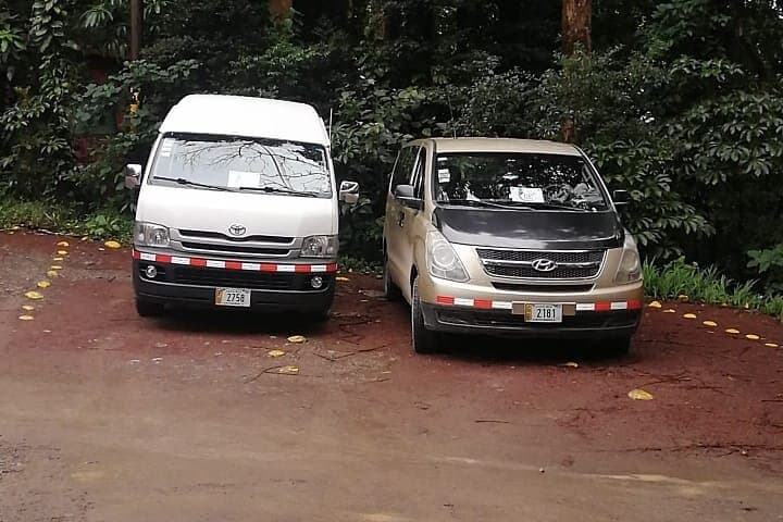 Transfer to Monteverde Reserve & Curicancha Reserve