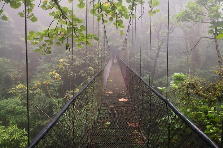 Hanging bridges and Zip line from Port Cardera especially for cruises