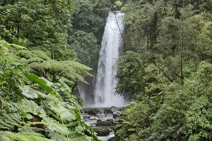 Costa Rica Day Trip Tour with Lunch