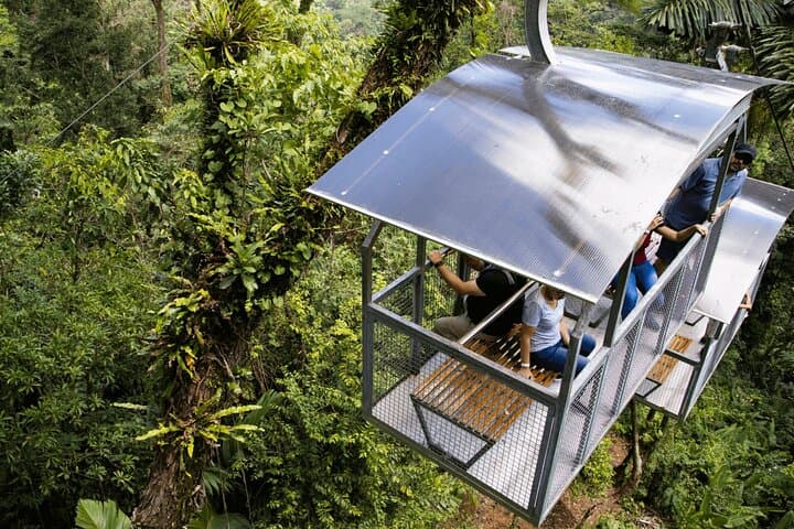Veragua Rainforest, Tram and Tortuguero Canal Boat Tour. Puerto Limon Shore Excursion by Greenway Tours.