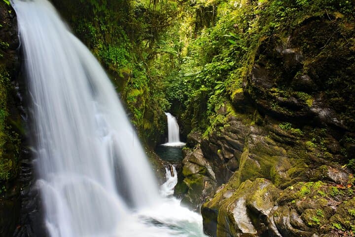 La Paz Waterfall Gardens Tour from San Jose with Lunch
