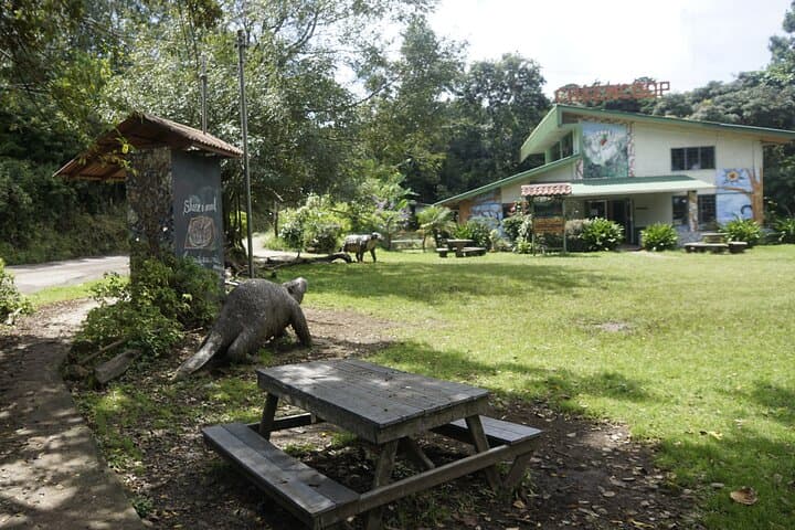 Monteverde Local Experience Guided Tour From Monteverde
