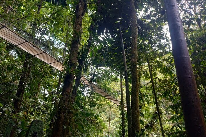 Hanging Bridges Walk in Costa Rica (Self-guided tour)