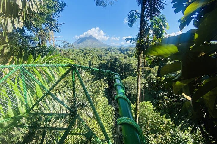 3 Hours Rainforest Experience in Arenal
