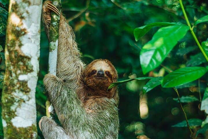 welcome to arenal Prívate tours .