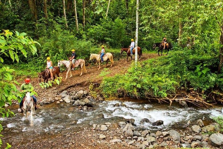 Jaco Mega Combo: Zipline, Horseback & Waterfall Rappel with Lunch