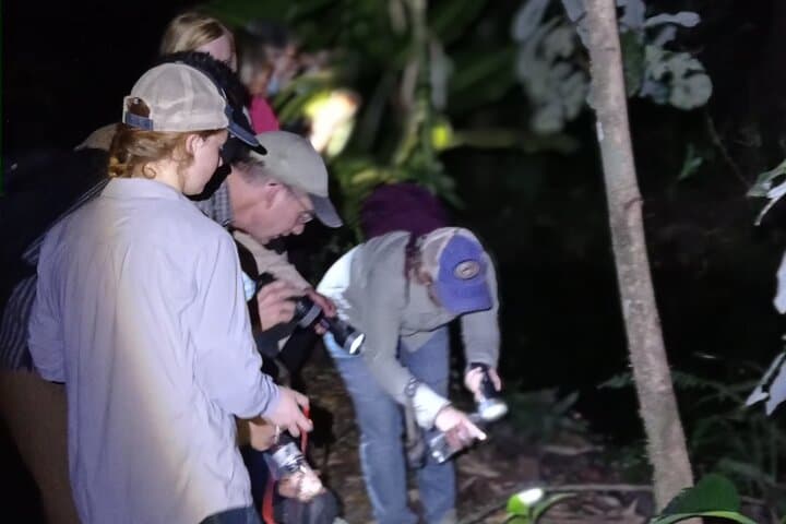 Exclusive Night Walk in La Fortuna and Natural Frog Garden .