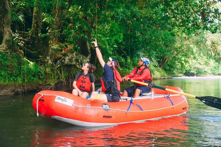 Jungle Safari Float on Sarapiqui River from San Jose
