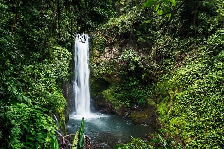 La Paz Waterfall Gardens Nature Park Full-Day Tour