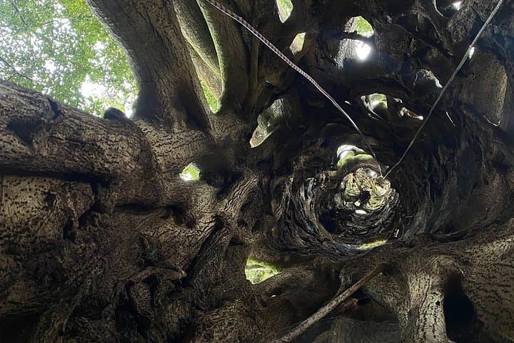 Discover the hidden Wonders of Monteverde