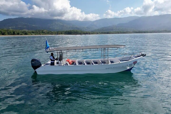36' Tour Boat - Seats up to 24 guests