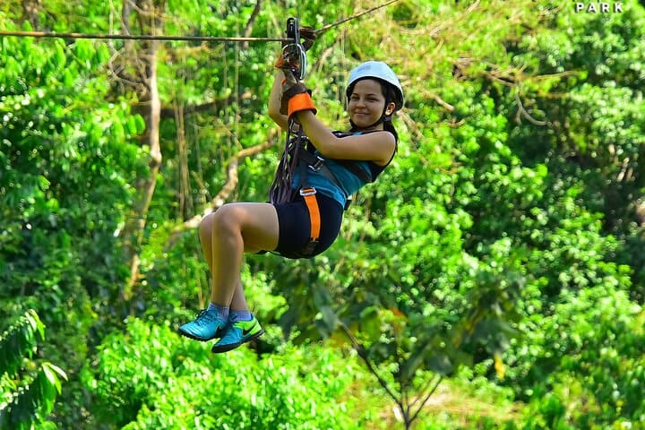 Canopy S Luis