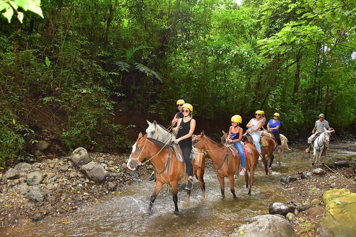 Puntarenas Rainforest Horseback Riding. Shore Excursion from Puntarenas