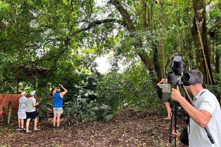 Sloth Discovery Tour in La Fortuna Wildlife