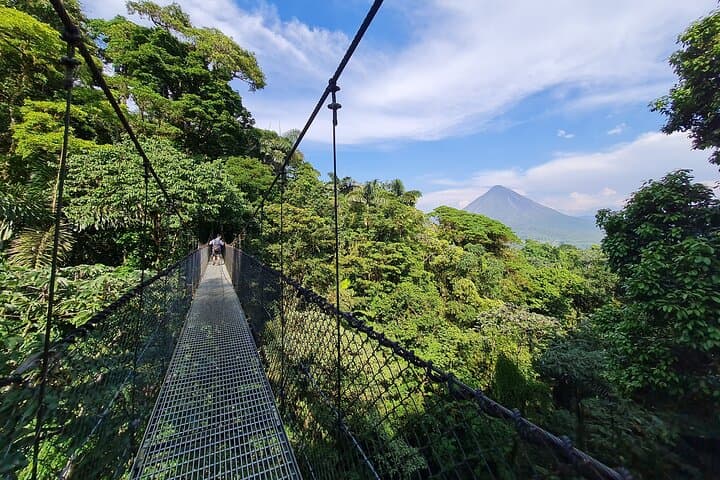 Mystical Suspension Bridges With Transportation & Naturalist Guide