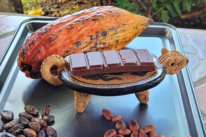 Cocoa and organic chocolate bar