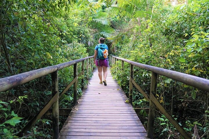 Costa Rica Wild : Premium All Inclusive Experience 8 Days