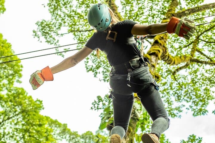 adrena-line-zipline-rainforest-ride
