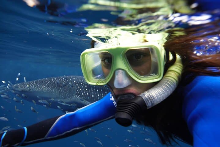 One Day Tour To Cano Island From Manuel Antonio