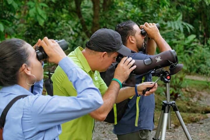 Arenal Birdwatching Tour - Guided Nature Experience