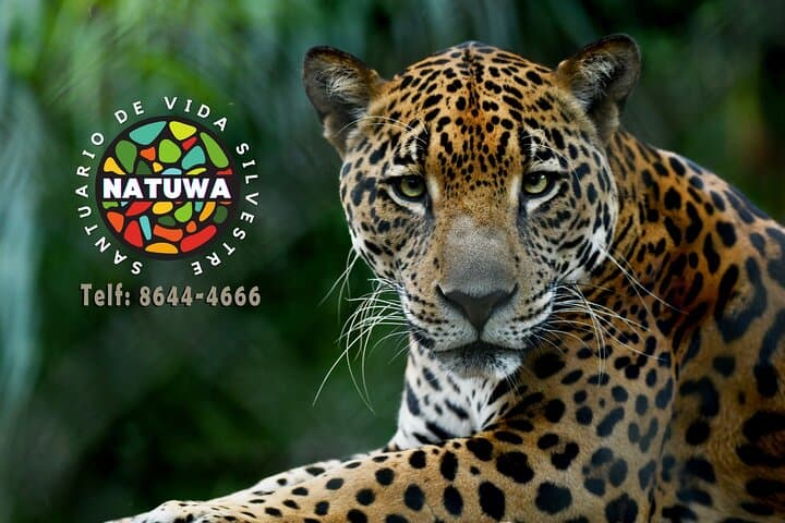 Natuwa Wildlife and Conservation Sanctuary