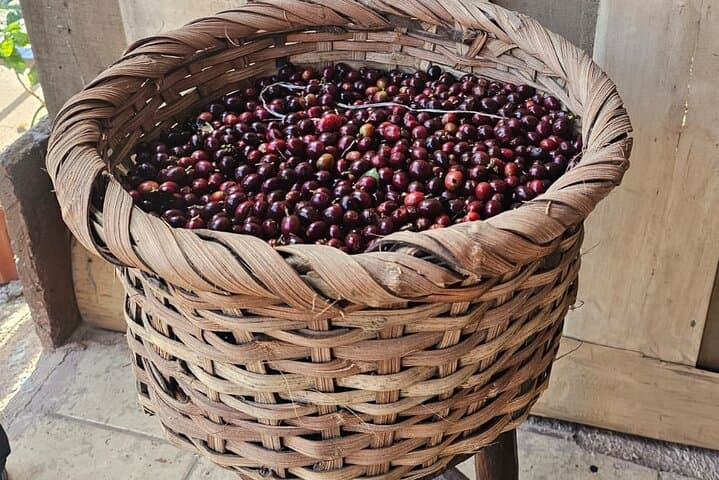 Costa Rica Coffee Tasting Experience