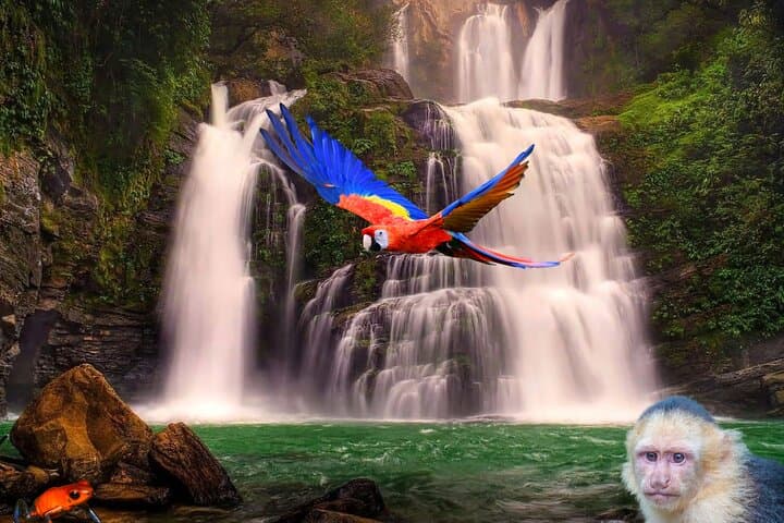 Nauyaca Imposing Adventure Between Jungle and Waterfalls
