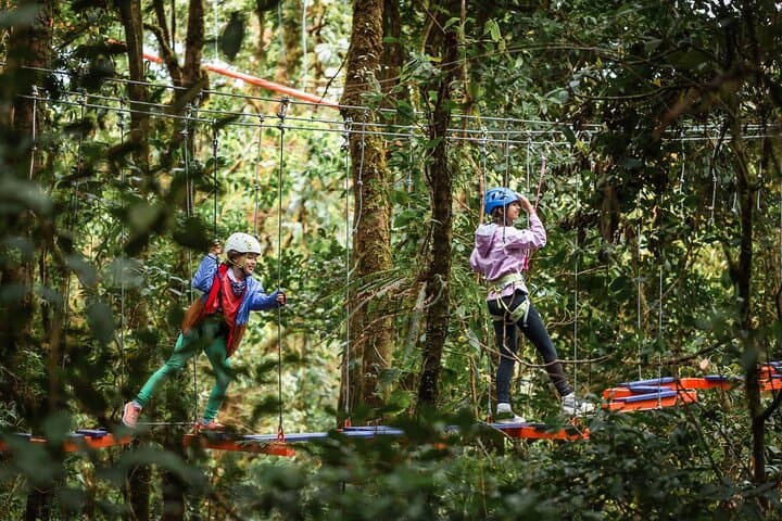 4-in-1 Sky Tram, Sky Trek, Sky Walk and Arboreal Challenge