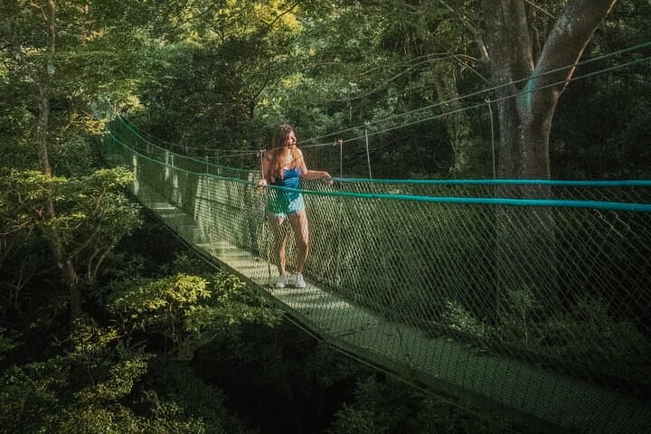 Rincón de la Vieja Explore the Rainforest Hanging Bridges