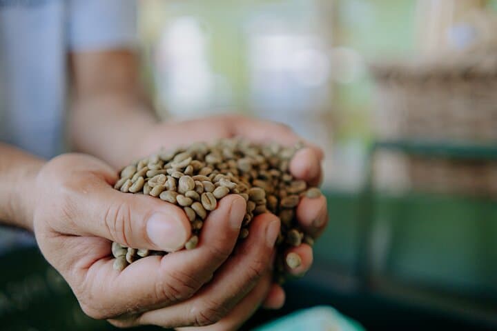 Coffee Methods Workshop