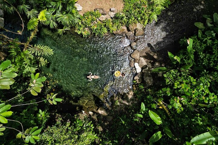 Natural pool