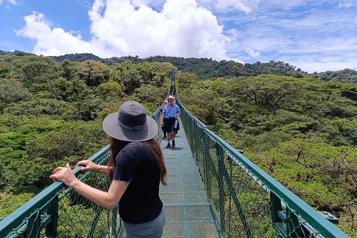 Monteverde Suspension Bridges Private Tour