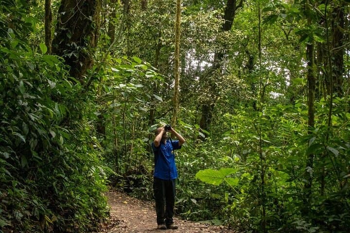 Authentic Cloud Forest Experience