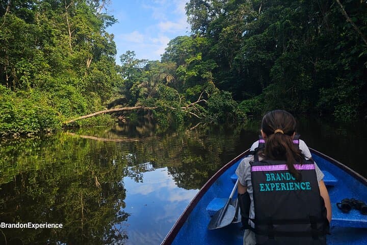 come and relax while enjoying the nature of this wonderful place.