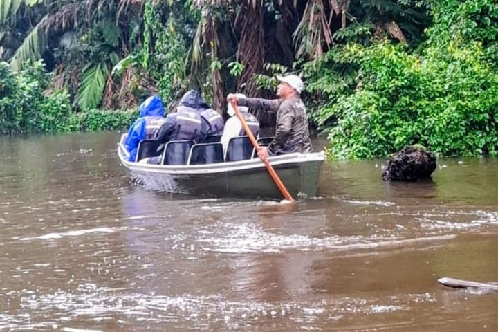 It is an experience that combines physical exercise, wildlife observation