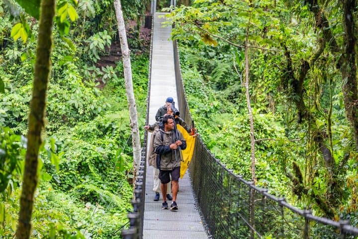 Suspension Bridge and Puma Trek Trails