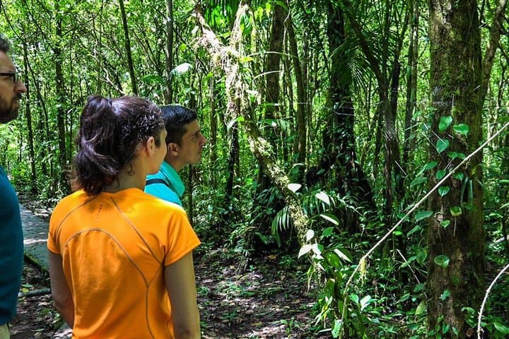 La Fortuna: Rio Celeste & Hot Springs Dinner Experience