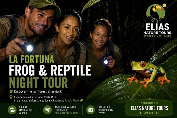 Night Tour of Frogs and Reptiles in Private Reserve