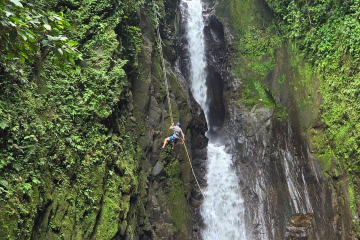 Rainforest Falls Waterfall Private Adventure by Pure Trek