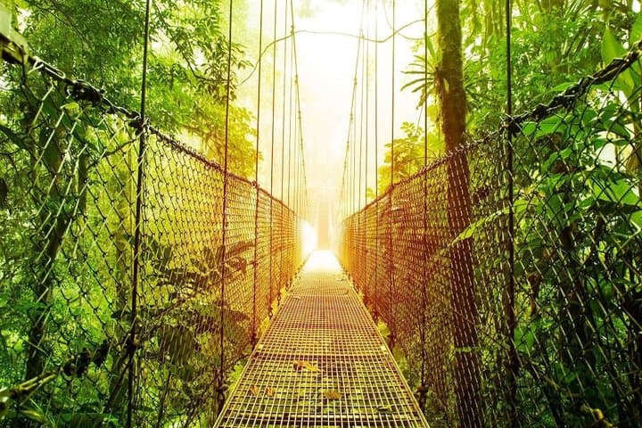 4 Days Arenal and Monteverde Essentials