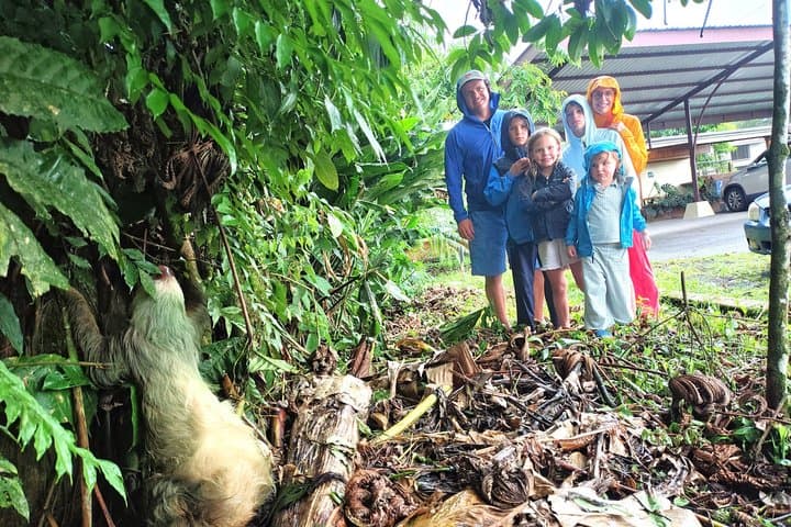 Sloth Watching and Night Walk Adventure Combo in La Fortuna